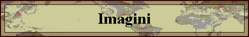 Imagini