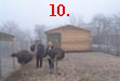 10.