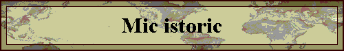 Mic istoric
