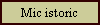 Mic istoric
